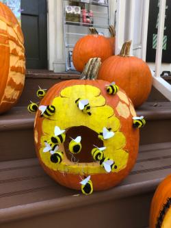 American Pest Control