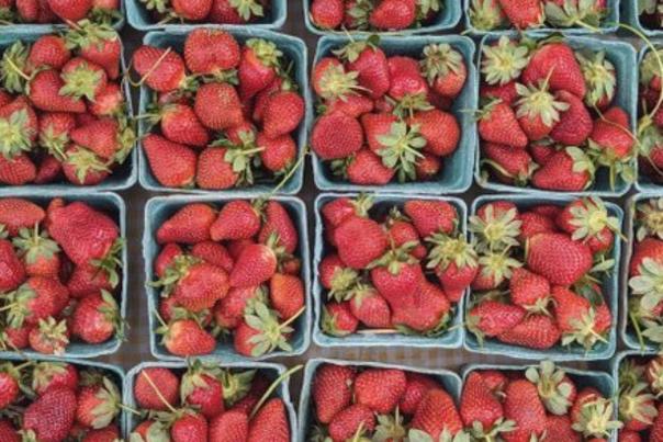 Athens Farmers Market title picture