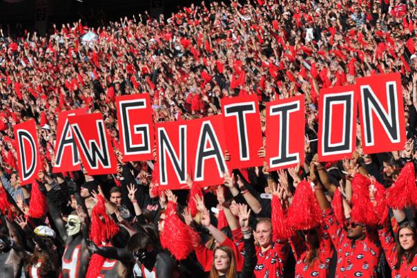 Dawg Nation UGA football stand