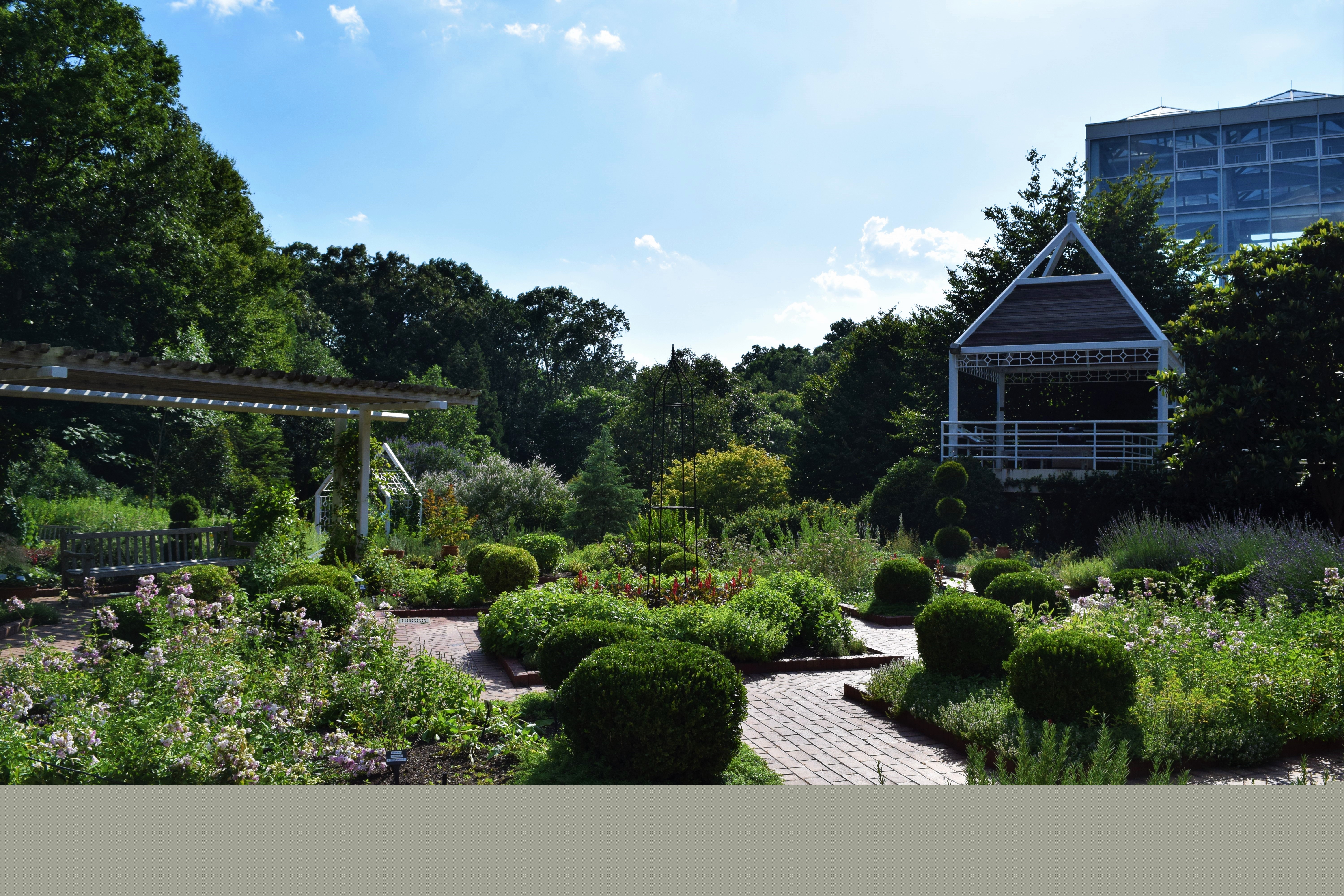 Athens Botanical Garden