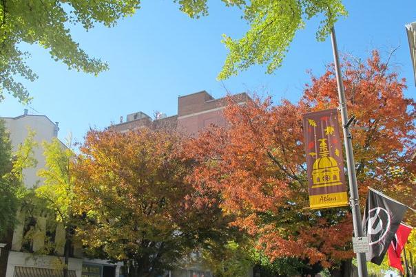 Fall in Downtown Athens