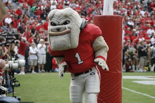 Hairy Dawg