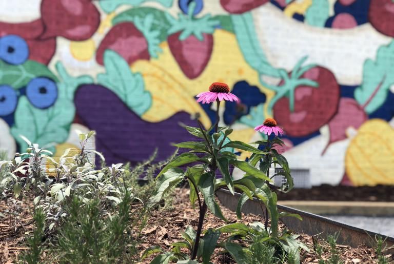 mural