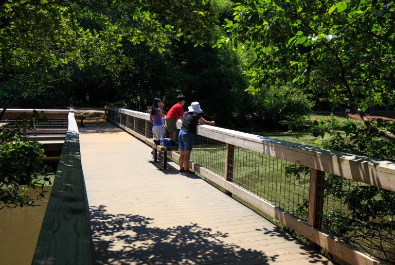 2018 memorial park