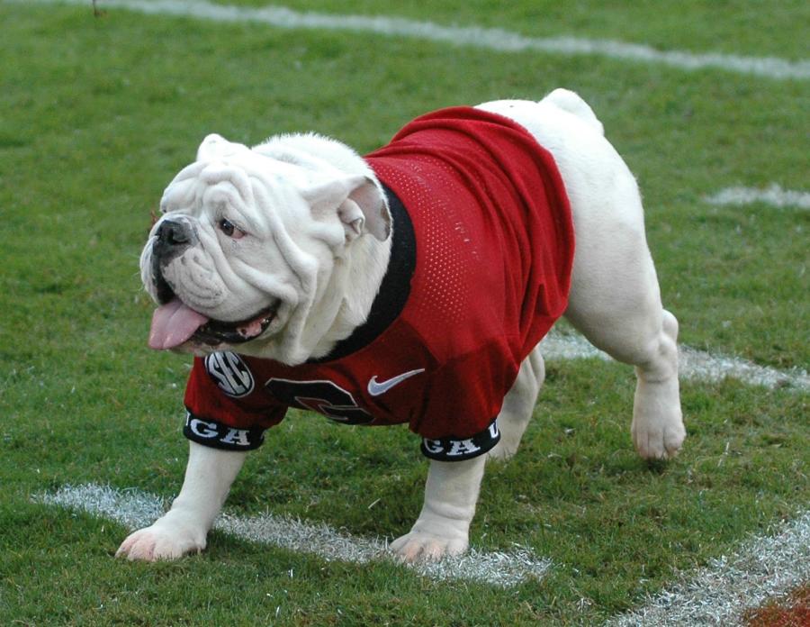 Uga X, Que on the field