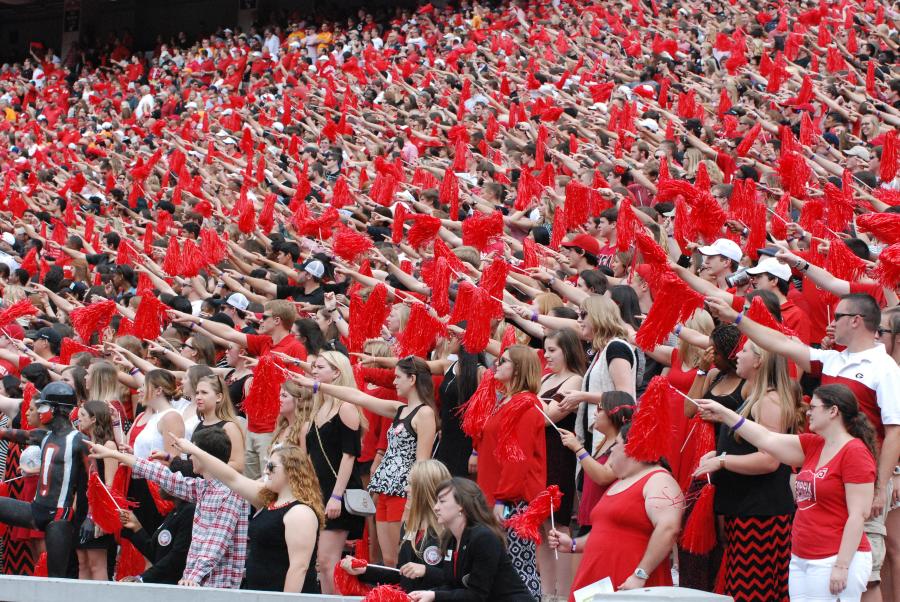 UGA cheering fans