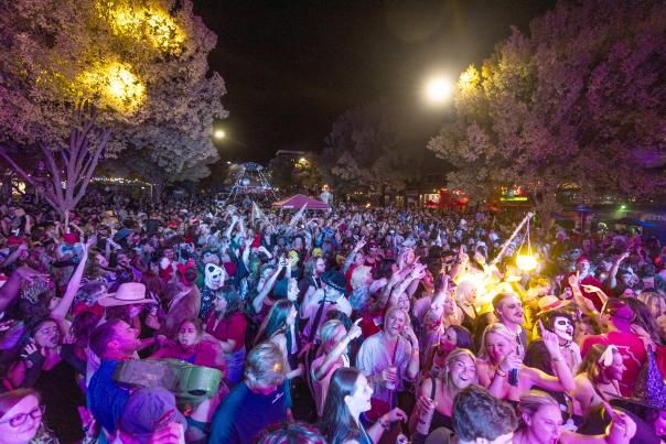 Wild Rumpus 2024