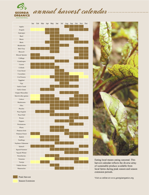 Georgia Harvest Calendar